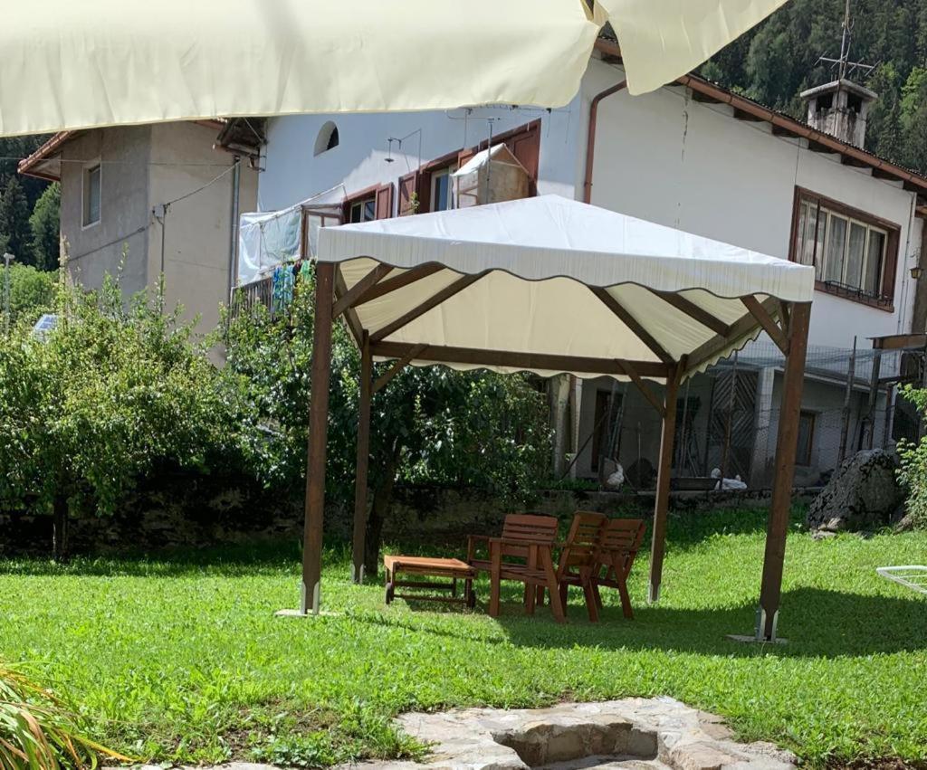 L' Antica Casa Di Maria Lilia Lägenhet Pieve di Cadore Exteriör bild