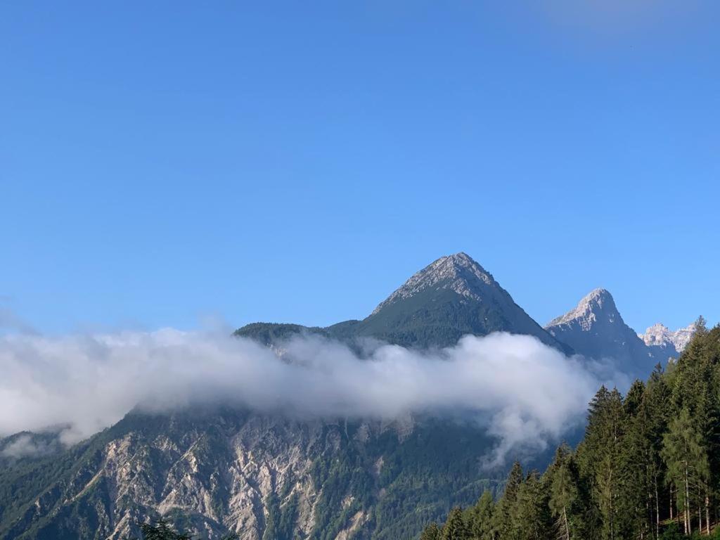 L' Antica Casa Di Maria Lilia Lägenhet Pieve di Cadore Exteriör bild