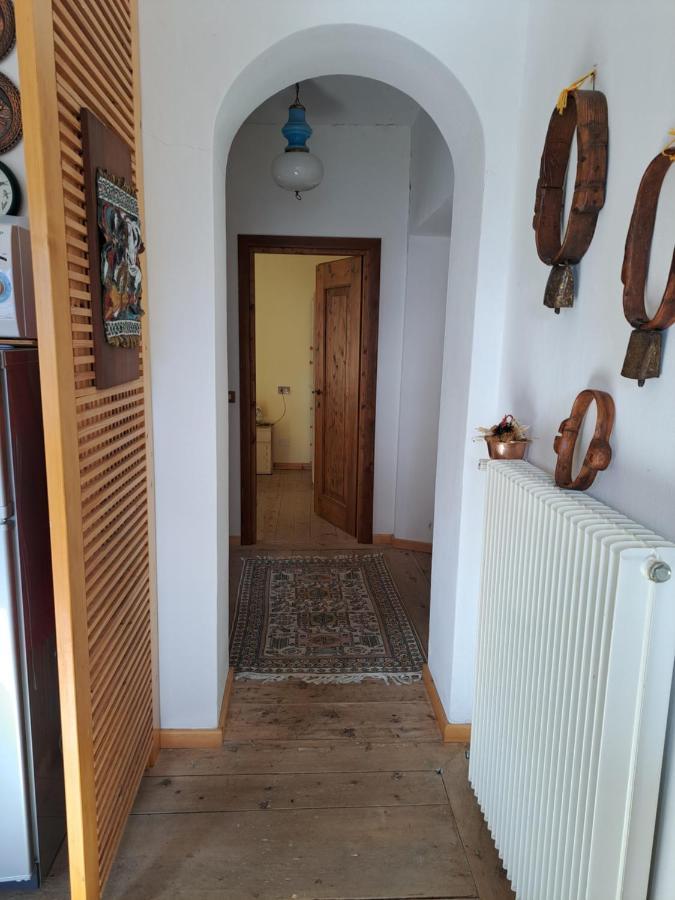 L' Antica Casa Di Maria Lilia Lägenhet Pieve di Cadore Exteriör bild